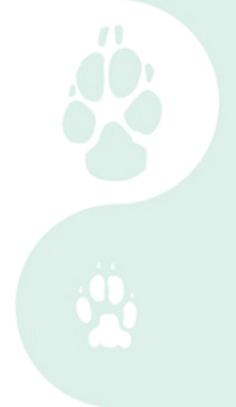 left column paw graphic
